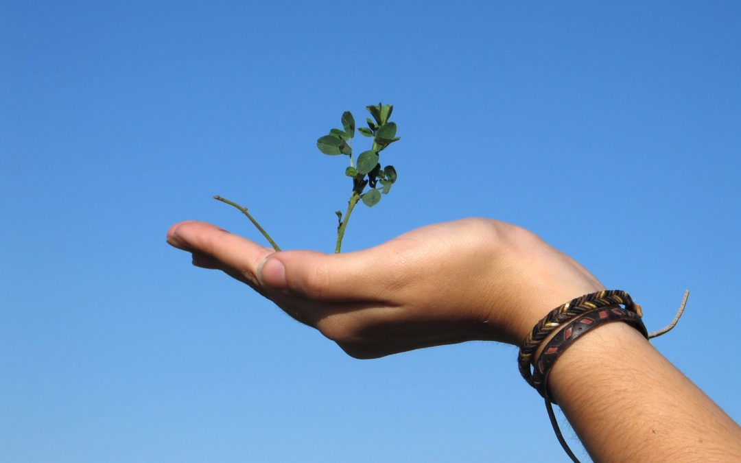 Sviluppare l’empowerment personale