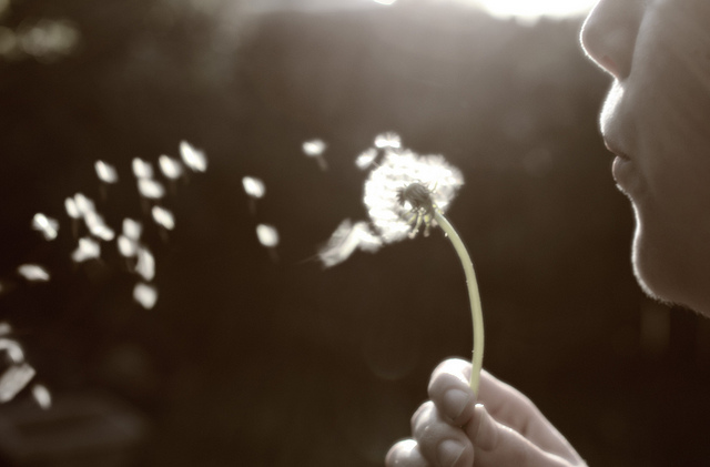 14 novembre 2015 – La positività del lasciar andare